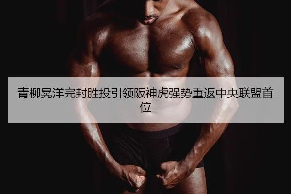 青柳晃洋完封胜投引领阪神虎强势重返中央联盟首位
